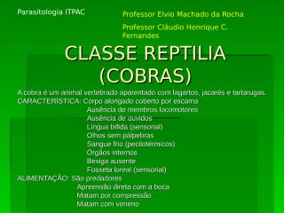 1_CLASSE REPTILIA (COBRAS).ppt