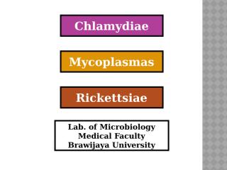 Chlamydia Mycoplasma Rickettsia KBK 2011.pptx