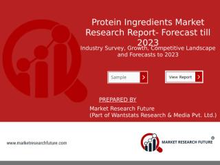 Protein Ingredients Market Research Report.pptx